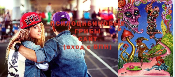 твердый Касимов