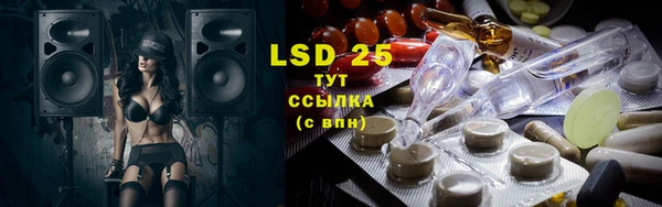 шишки Коряжма