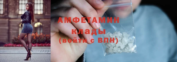 шишки Коряжма
