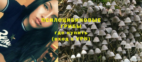 ешки Новозыбков