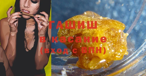 шишки Коряжма