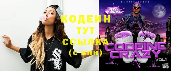 прущий лед Козловка
