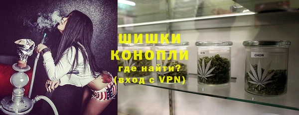 ГАЛЛЮЦИНОГЕННЫЕ ГРИБЫ Корсаков