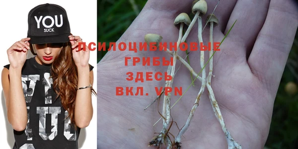 шишки Коряжма